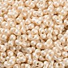Glass Seed Beads SEED-L011-04A-10-3