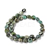 Natural African Turquoise(Jasper) Beads Strands G-P460-07-4