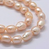 Natural Cultured Freshwater Pearl Beads Strands PEAR-K004-03B-01-3