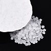 FGB Frosted Transparent Glass Seed Beads SEED-N013-03A-01-1