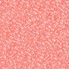 11/0 FGB Grade A Transparent Glass Seed Beads X-SEED-N001-F-233-2