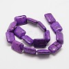 Natural Dyed Howlite Rectangle Eye Beads X-G-P083-40-2