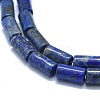 Natural Lapis Lazuli Beads Strands G-F631-F06-3