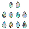10Pcs Abalone Shell/Paua Shell Beads SSHEL-FI0001-01-1