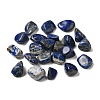 Natural Lapis Lazuli Beads G-O029-08V-1