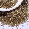 MIYUKI Delica Beads SEED-J020-DB2155-1