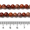 Natural Red Snakeskin Jasper Beads Strands X-G-H298-A02-02-5