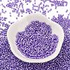 Baking Paint Glass Seed Beads SEED-S042-15B-32-2