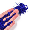 12/0 Glass Seed Beads X2-SEED-A010-2mm-48-4