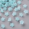 Transparent Acrylic Beads PL554-11-1