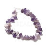 Natural Amethyst Beads Strands G-B064-B01-3