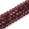 Glass Beads Strands EGLA-A044-T6mm-D13-1