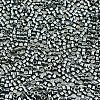 FGB 11/0 Grade A Glass Seed Beads SEED-S030-1213-2