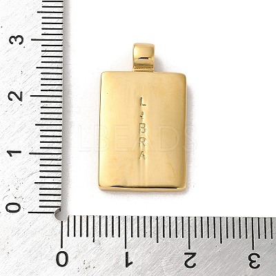 304 Stainless Steel Pendants X-STAS-L022-306G-06-1