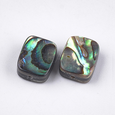 Abalone Shell/Paua Shell Beads X-SSHEL-T008-05-1