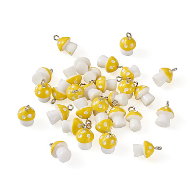Plastic Pendants KY-TA0001-15B-1