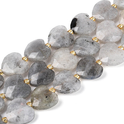 Natural Labradorite Beads Strands LS-G-P592-B14-01-1