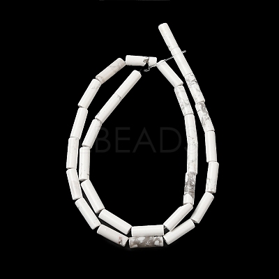 Synthetic Howlite Beads Strands G-K340-C06-01-1