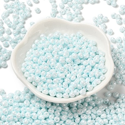 6/0 Glass Seed Beads X1-SEED-M012-01A-13-1