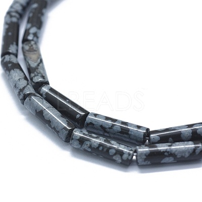 Natural Snowflake Obsidian  Beads Strands G-F631-D14-1