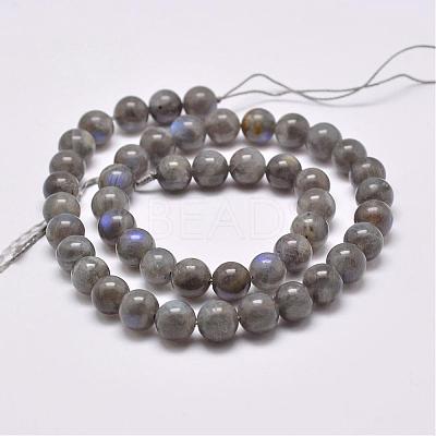 Natural Labradorite Beads Strands G-D864-11-6mm-1