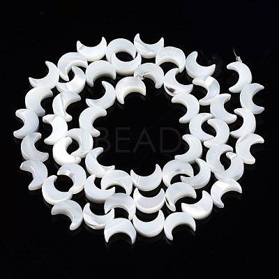 Natural Trochid Shell/Trochus Shell Beads Strands SSHEL-S266-025A-01-1