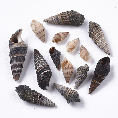 Natural Spiral Shell Beads SSHEL-S258-85-1