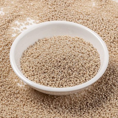 MIYUKI Round Rocailles Beads SEED-G009-RR0593-1