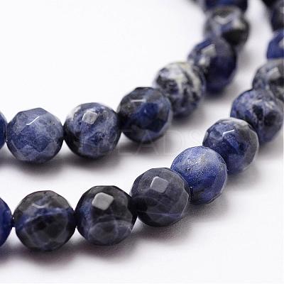 Natural Sodalite Beads Strands G-D840-19-10mm-1