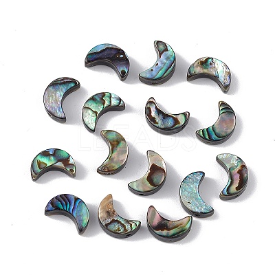 Natural Abalone Shell/Paua Shell Beads SSHEL-M021-05-1