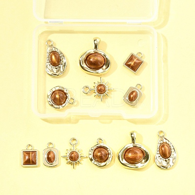 12Pcs 6 Styles Alloy Resin Pendants FIND-FS0004-05-1