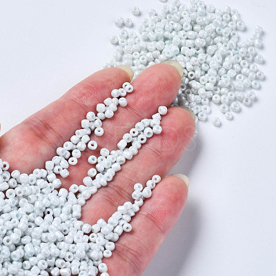 8/0 Glass Seed Beads SEED-S061-A-979-1