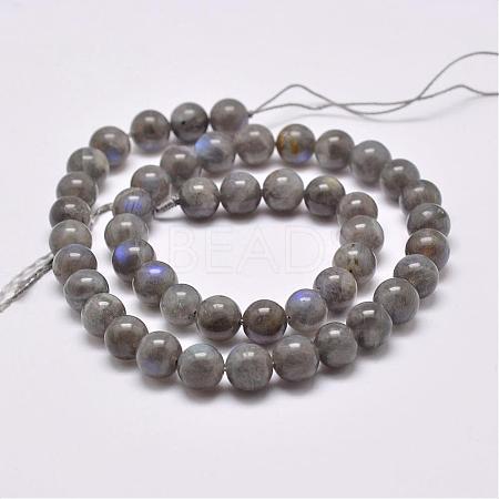 Natural Labradorite Beads Strands G-D864-11-6mm-1