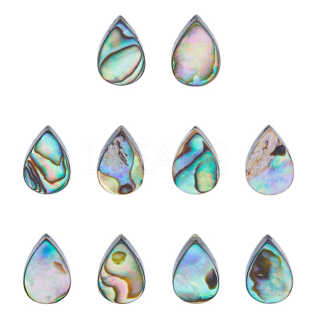 10Pcs Abalone Shell/Paua Shell Beads SSHEL-FI0001-01-1