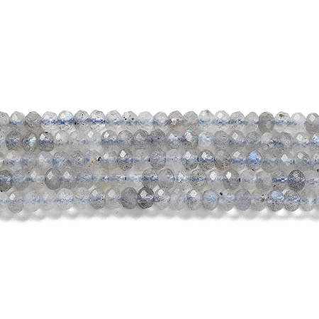 Natural Labradorite Beads Strands G-L587-B01-01-1