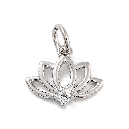 Rack Plating Brass Clear Cubic Zirconia Pendants KK-M293-11P-1