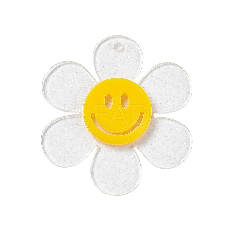 Transparent Acrylic Big Pendants OACR-P012-A06-1