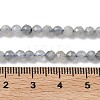 Natural Labradorite Beads Strands G-L651-C11-4mm-5