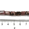 Natural Rhodonite Beads Strands G-G085-A16-01-4