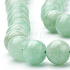 Natural Myanmar Jade/Burmese Jade Beads Strands G-T064-22-10mm-3