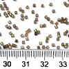 FGB 11/0 Grade A Glass Seed Beads SEED-S030-1148-4