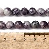 Natural Lepidolite Beads Strands G-G284-A02-8mm-6