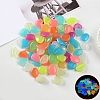 Resin Luminous Glow in the Dark Pebbles Stone PW-WG30806-01-1