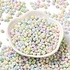 6/0 Glass Seed Beads SEED-M012-01A-01-2