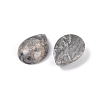 Natural Map Stone Cabochons G-H094-01A-34-2
