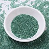 MIYUKI Delica Beads X-SEED-J020-DB0060-2