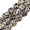 Natural Dalmatian Jasper Beads Strands G-N368-01A-03-2
