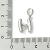 Rack Plating Brass with ABS Plastic Pearl European Dangle Charms KK-G501-02H-P-3