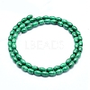 Natural Malachite Beads Strands G-D0011-09A-2
