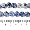 Natural Blue Spot Jasper Beads Strands G-K357-B14-01-5